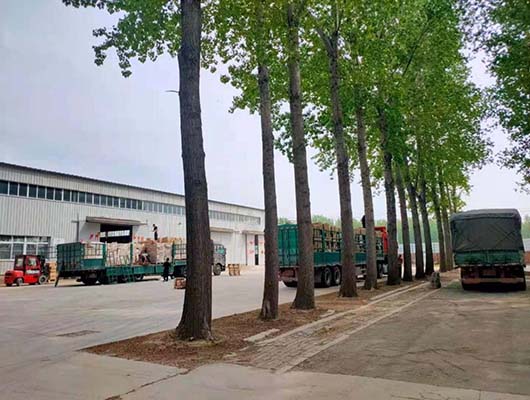 一件代發(fā)倉儲