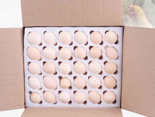 生鮮倉儲打包發(fā)貨